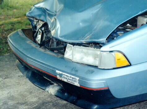 017.jpg (205642 bytes)