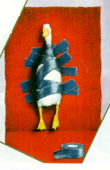 Ducktape.jpg (56599 bytes)